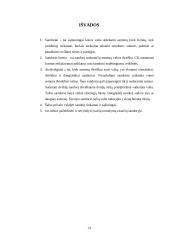 Sandorių rūšys 13 puslapis