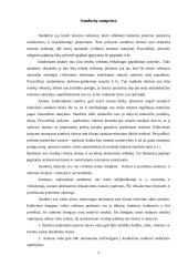 Sandorių rūšys 3 puslapis