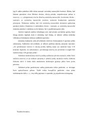 Savininkų nuosavybės auditas 10 puslapis