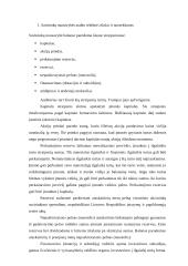 Savininkų nuosavybės auditas 2 puslapis