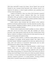 Savininkų nuosavybės auditas 6 puslapis