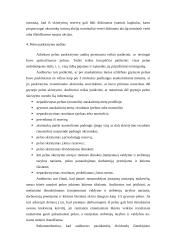 Savininkų nuosavybės auditas 8 puslapis