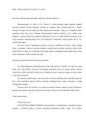 Senovės teisė 2 puslapis