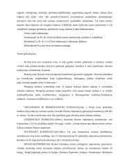 Senovės teisė 13 puslapis