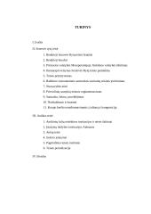 Senovės teisė 17 puslapis