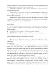 Senovės teisė 3 puslapis