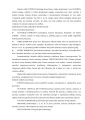 Senovės teisė 10 puslapis