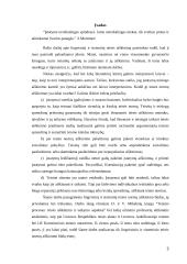 Sisteminis ir lingvistinis teisės normų aiškinimo būdai 3 puslapis