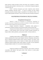 Skaitmeninių fotoaparatų technologijos 11 puslapis