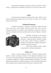 Skaitmeninių fotoaparatų technologijos 12 puslapis