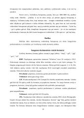 Skaitmeninių fotoaparatų technologijos 16 puslapis