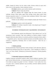 Skaitmeninių fotoaparatų technologijos 17 puslapis