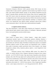 Skaitmeninių fotoaparatų technologijos 20 puslapis