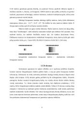 Skaitmeninių fotoaparatų technologijos 6 puslapis
