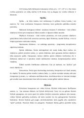 Skaitmeninių fotoaparatų technologijos 7 puslapis