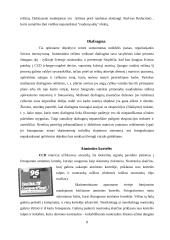 Skaitmeninių fotoaparatų technologijos 8 puslapis