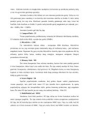 Skaitmeninių fotoaparatų technologijos 9 puslapis