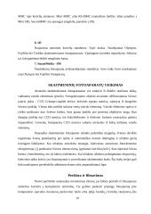 Skaitmeninių fotoaparatų technologijos 10 puslapis