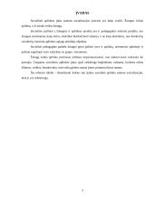 Socialinės aplinkos įtaka asmens socializacijos procese 3 puslapis