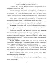Socialinės aplinkos įtaka asmens socializacijos procese 4 puslapis