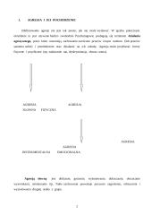 Agresja i przemoc wśród dzieci i młodzieży 3 puslapis