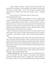Spygliuočiai. Paprastoji eglė 6 puslapis