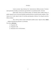 Akcinės bendrovės (AB) ir uždaros akcinės bendrovės (UAB) skirtumai 3 puslapis