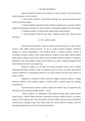 Akcinės bendrovės (AB) ir uždaros akcinės bendrovės (UAB) skirtumai 4 puslapis