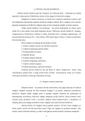 Akcinės bendrovės (AB) ir uždaros akcinės bendrovės (UAB) skirtumai 6 puslapis