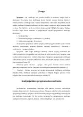 Sprogstamosios medžiagos 2 puslapis