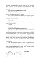 Sprogstamosios medžiagos 6 puslapis