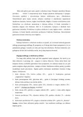 Sprogstamosios medžiagos 7 puslapis