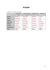 Akustinės sistemos 13 puslapis