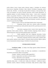 Suaugusiųjų švietimas 9 puslapis