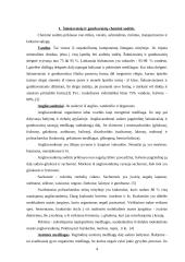 Šakniavaisiai 2 puslapis