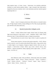 Šakniavaisiai 11 puslapis