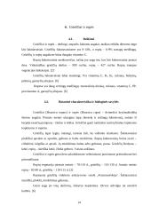 Šakniavaisiai 12 puslapis