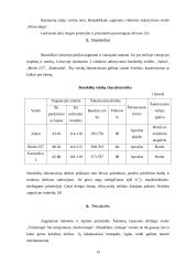 Šakniavaisiai 13 puslapis