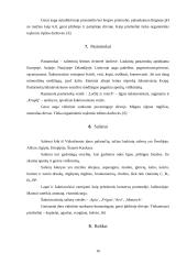 Šakniavaisiai 14 puslapis