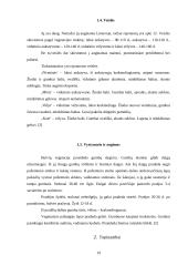 Šakniavaisiai 17 puslapis