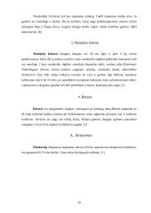 Šakniavaisiai 18 puslapis