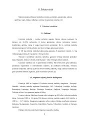 Šakniavaisiai 6 puslapis