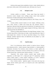 Šakniavaisiai 8 puslapis