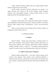 Šakniavaisiai 9 puslapis