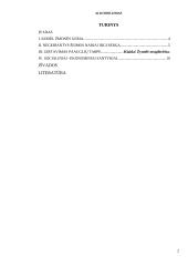 Alkoholizmas paauglių tarpe 2 puslapis