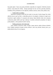 Alkoholizmas paauglių tarpe 6 puslapis