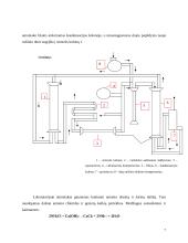 Amoniako gamyba ir jo perspektyvos Lietuvoje 7 puslapis