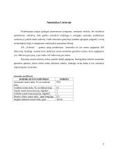 Amoniako gamyba ir jo perspektyvos Lietuvoje 9 puslapis