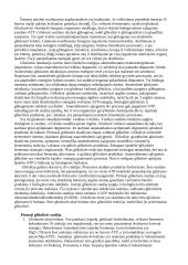 Anaerobinė angliavandenių apykaita bei jos reguliavimas 3 puslapis