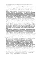 Anaerobinė angliavandenių apykaita bei jos reguliavimas 4 puslapis